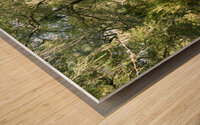 Natures Summer Embrace in the Scottish Highlands Wood print