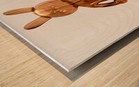 B A N Y X  T E K A Wood print