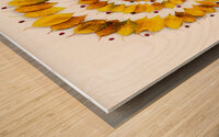 Autumnal leaves spiral Wood print