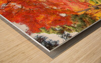 Autumn colors in Japan Wood print
