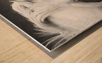 Icelandic horses black and white Wood print