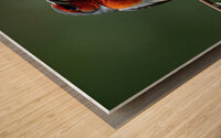 Vibrant Bird with Striking Red Chest Wood print