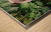 Beautiful Bear Wood print