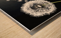 Dandelion Seed Pod Blowing in the Wind Wood print