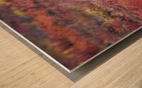 Denali Bear in Red Heather Wood print
