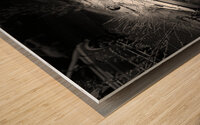 Everyday Lifes Moments- High and Dry in Black and White Wood print