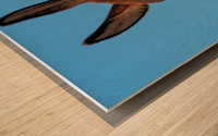 Handsome donkey  Wood print