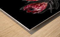 Protea Flora Wood print