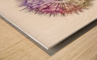 Whimsical Kaleidoscope Wood print