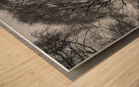 Everyday Lifes Moments- Deep Winter in the Scottish Highlands in black an Wood print