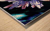 Abstract Daisy Flower Dark Background Wood print