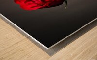 Single Red Rose Wood print