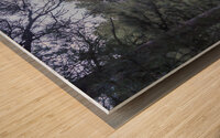 Morning Reflections Wood print
