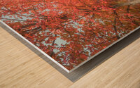 Autumn Surrounds Schlichers Covered Bridge Wood print