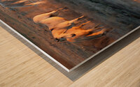 On Golden Pond Wood print