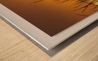 Golden Palouse Wood print