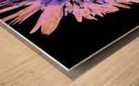 Abstract Daisy on a Dark Background Wood print