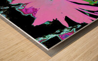 Abstract Surreal Neon Daises  Wood print