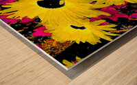 Abstract Contrasting Vibrant Daises  Wood print