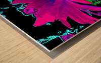 Abstract Neon Contrasting Daises Wood print