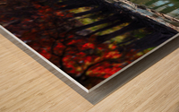 Fall on the Guadalupe River Wood print