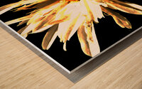 Abstract Daisy Darker Background Wood print