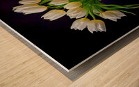 White Tulips in My Best Vase Wood print