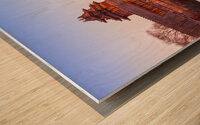 Wall and Moat Forbidden City Beijing Wood print