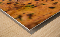Spotted Autumn Leaf Wood print