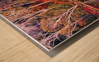 The Magical Season Wood print
