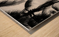 Black and white shot of palm trees at the promenade of Copacabana Beach in Rio de Janeiro Wood print