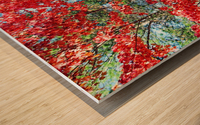 Colorful Fall Trail Wood print