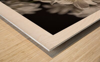 1Q8A1297 Wood print