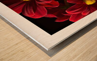 1Q8A1105 Wood print