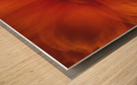 044A3071 Wood print