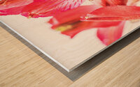 044A3497 Wood print