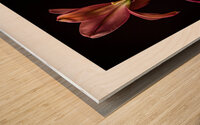 044A2837 Wood print