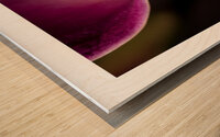 044A3606 Wood print