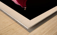 044A3572 Wood print