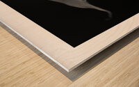 1Q8A1226 Wood print