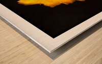 1Q8A1151 Wood print