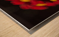 1Q8A1034 Wood print