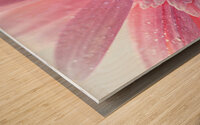 1Q8A7479 Wood print