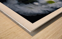 1Q8A1062 Wood print