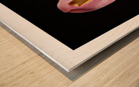 044A2841 Wood print