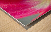 1Q8A7502 Wood print