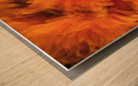 044A3078 Wood print