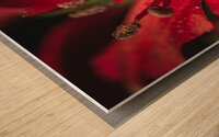 044A3394 Wood print