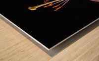 044A2942 Wood print