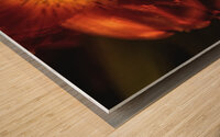 044A3446 Wood print